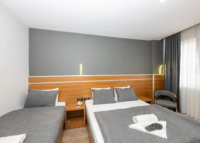 Mayza 3* Provincia di Istanbul